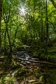 2017_09_24_Gorges de la Canche (0014)